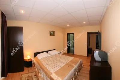 Hotel/Pensiune Rasinari - poza 71