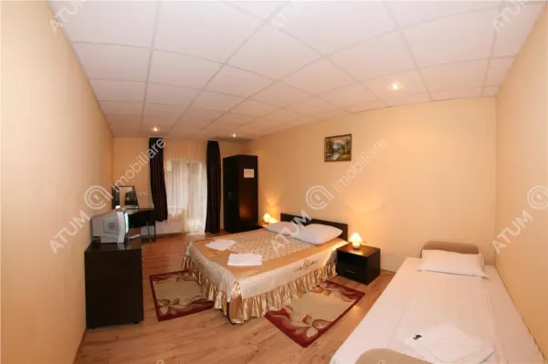 Hotel/Pensiune Rasinari - poza 74