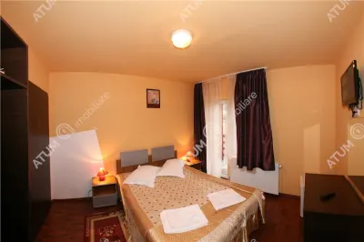 Hotel/Pensiune Rasinari - poza 76