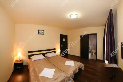 Hotel/Pensiune Rasinari - poza 77