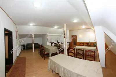Hotel/Pensiune Rasinari - poza 78