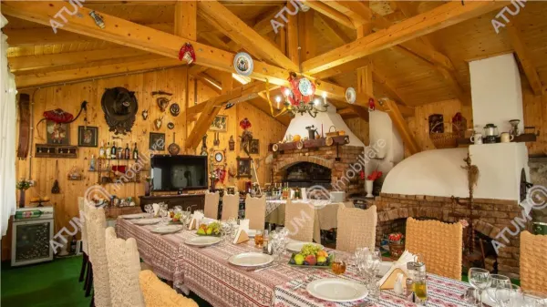 Hotel/Pensiune Rasinari - poza 9