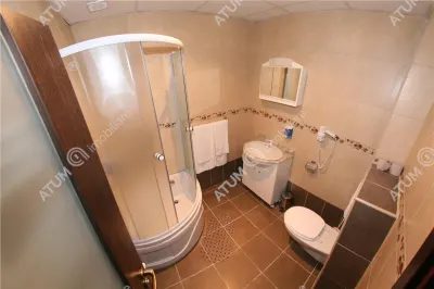 Hotel/Pensiune Rasinari - poza 82