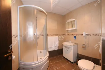 Hotel/Pensiune Rasinari - poza 84