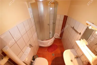 Hotel/Pensiune Rasinari - poza 85