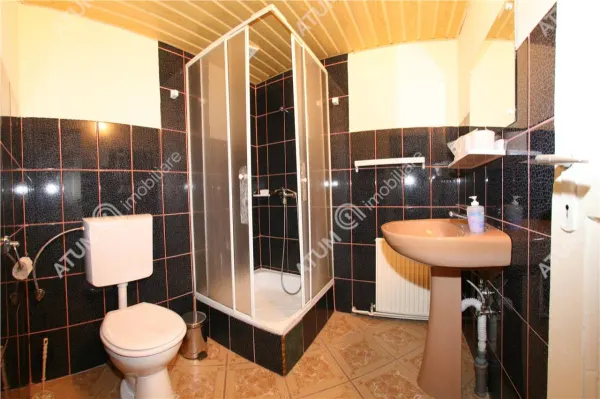 Hotel/Pensiune Rasinari - poza 87