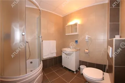 Hotel/Pensiune Rasinari - poza 88