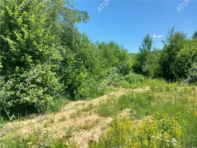 De vanzare teren intravilan 3900 mp in Porumbacu de Sus pe platoul centran, priveliste panoramica, Sibiu - foto 15