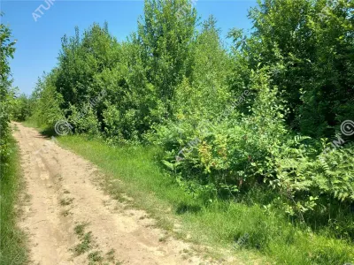 De vanzare teren intravilan 3900 mp in Porumbacu de Sus pe platoul centran, priveliste panoramica, Sibiu - foto 16