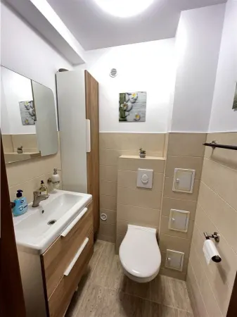 Casă 4 camere Șura Mică - poza 12