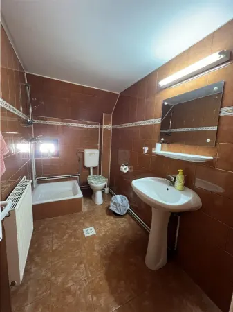 Hotel/Pensiune Paltinis - poza 12