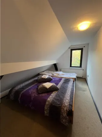 Hotel/Pensiune Paltinis - poza 14