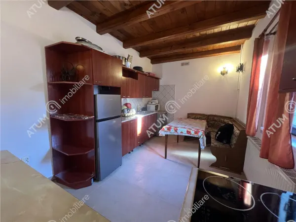 Hotel/Pensiune Paltinis - poza 8