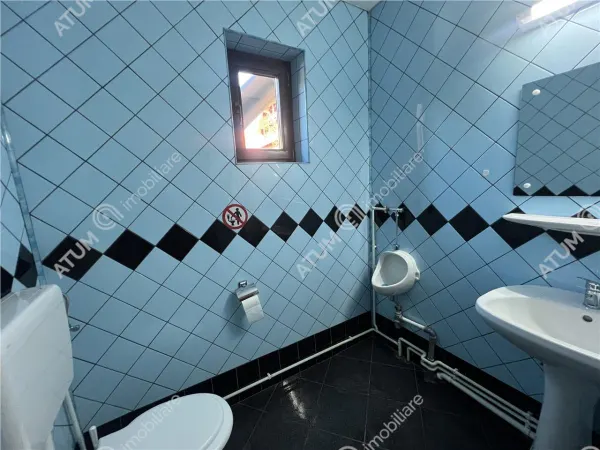 Hotel/Pensiune Paltinis - poza 10