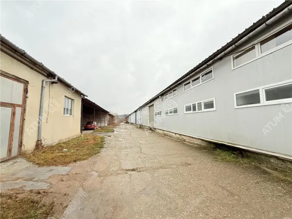 Spațiu industrial Cisnădie - poza 15
