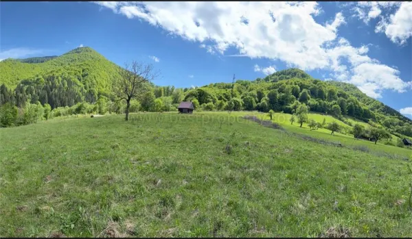 Teren Sibiu - poza 4