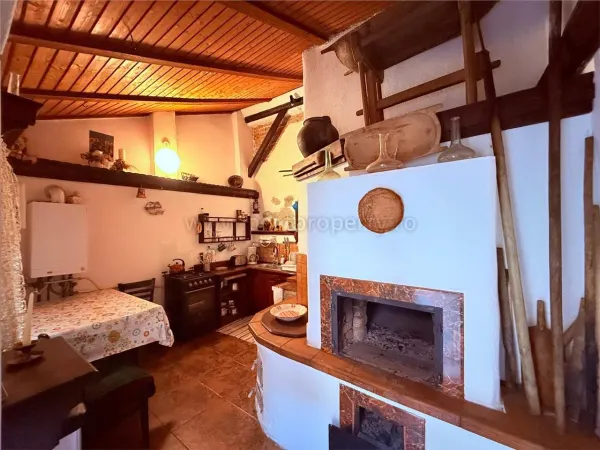 Hotel/Pensiune Apoldu de Sus - poza 16