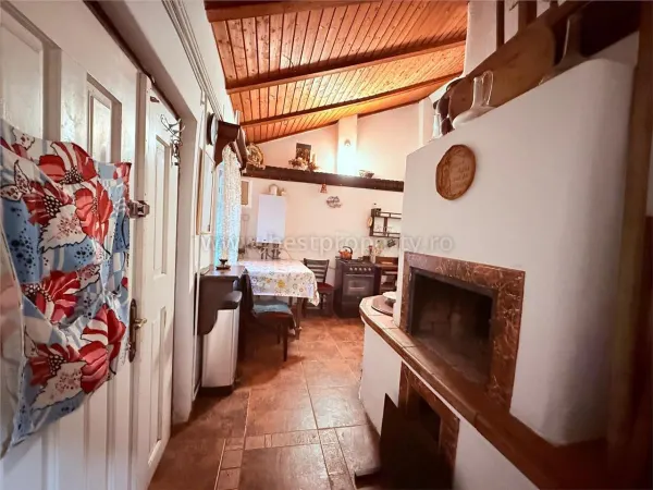 Hotel/Pensiune Apoldu de Sus - poza 18