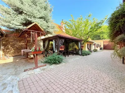 Pensiune de Vanzare in  Sibiu zona Apoldu de Sus - foto 22