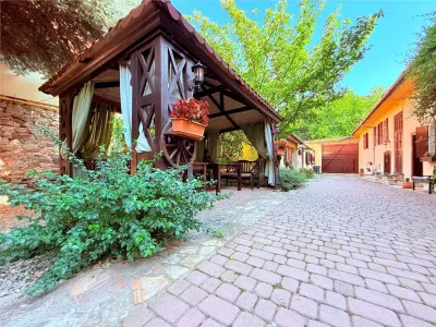 Pensiune de Vanzare in  Sibiu zona Apoldu de Sus - foto 10