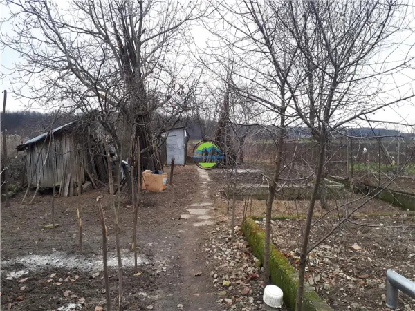 Casă 3 camere Cocorastii Colt - poza 13
