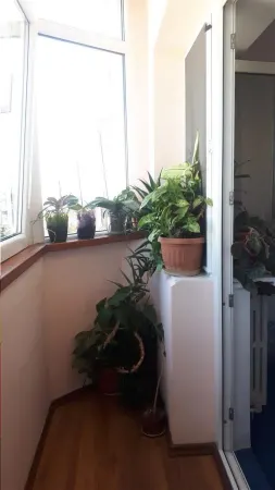 Apartament 3 camere Ploiești - poza 9