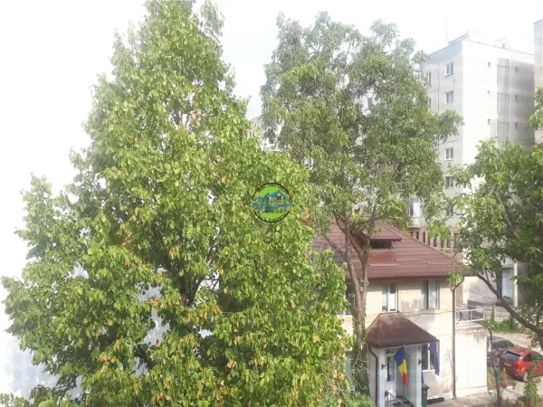 Apartament 1 camera Ploiești - poza 23