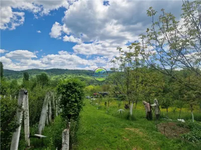 PRAJANI - SLANIC PRAHOVA - TEREN DE VANZARE - foto 7