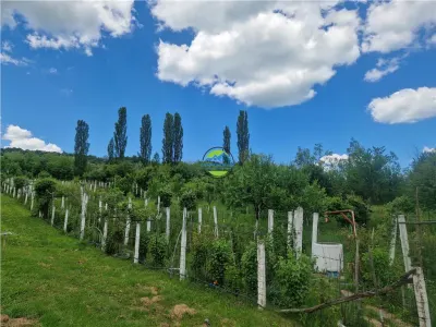 PRAJANI - SLANIC PRAHOVA - TEREN DE VANZARE - foto 10