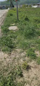 Teren intravilan 390 mp de vânzare în Alba Iulia –  Orizont - foto 2