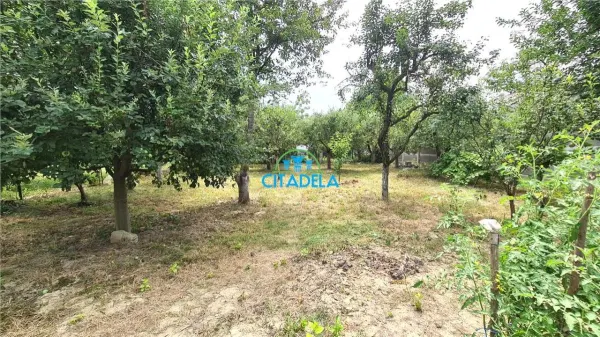 Casă 3 camere Alba Iulia - poza 3