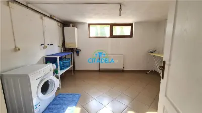 Casa de vanzare 4 camere ,garaj 410 mp teren ,Alba Micesti - foto 17