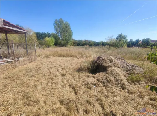Casă 2 camere Ardud - poza 6