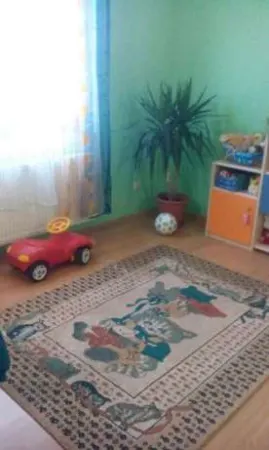 Casă 4 camere Vetis - poza 7