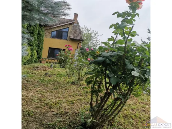 Casă 5 camere Satu Mare - poza 6