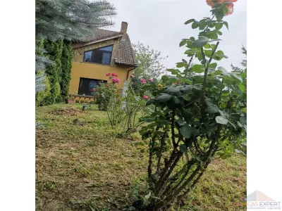 Vila de vanzare pe Paulesti - foto 6
