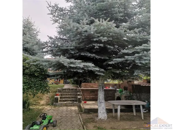 Casă 5 camere Satu Mare - poza 7