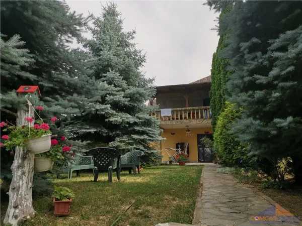 Casă 5 camere Satu Mare - poza 8