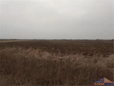 Teren extravilan de vanzare in Amati - foto 2