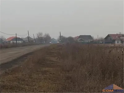 Teren extravilan de vanzare in Amati - foto 3