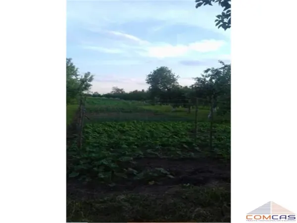 Casă 4 camere Culciu Mare - poza 4