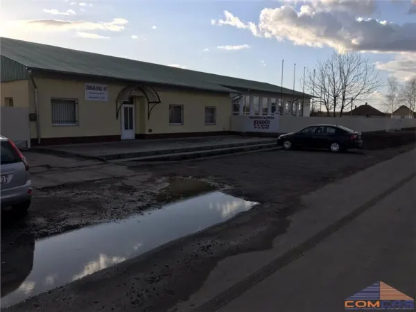 Spațiu industrial Satu Mare - poza 10