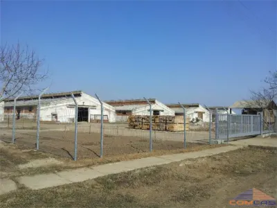 FERMA DE BOVINE  330000 - Camin