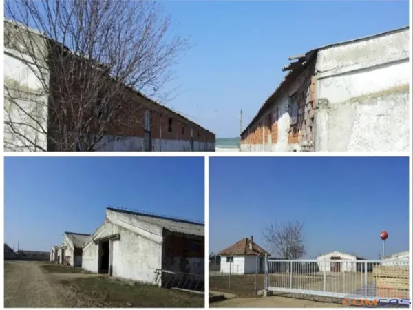 Spațiu industrial Camin - poza 3