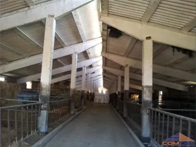 FERMA DE BOVINE  330000 - foto 6
