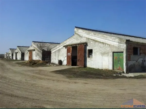 Spațiu industrial Camin - poza 7