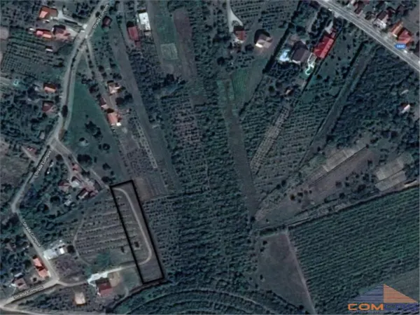 Teren Viile Satu Mare - poza 1