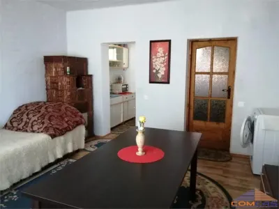 CASA DE VANZARE IN IOJIB - foto 2