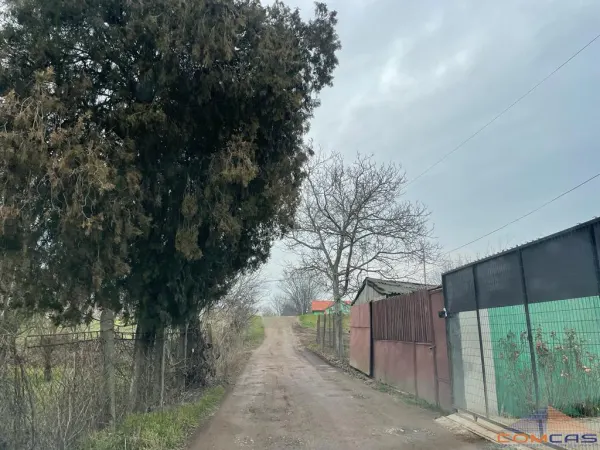 Casă 4 camere Satu Mare - poza 11