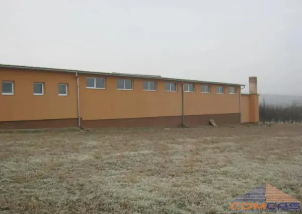 Spațiu industrial Viile Satu Mare - poza 2